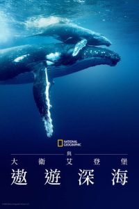 大卫·爱登堡：海洋