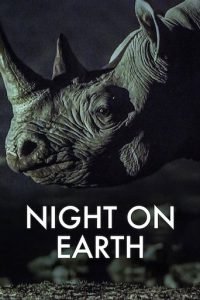 地球的夜晚