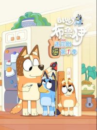 布鲁伊迷你剧