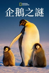 企鹅的秘密