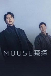 窥探