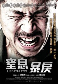 绿头苍蝇