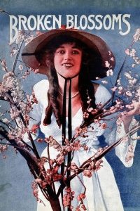 残花泪