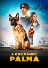忠犬帕尔玛