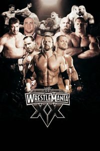 WWE 摔角狂热 20