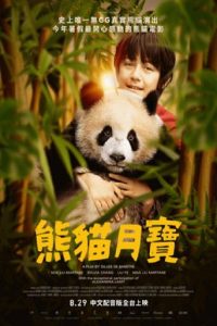 熊猫月亮