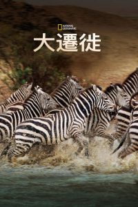 国家地理：大迁徙