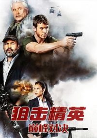狙击精英：巅峰对决