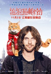 流浪猫鲍勃 poster