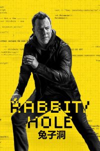 间谍兔洞 poster