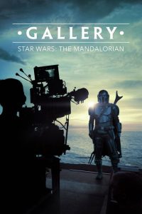 Disney Gallery / Star Wars: The Mandalorian poster