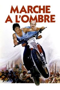 在阴影中行走 poster