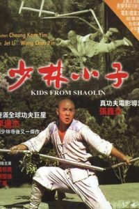 少林小子 poster