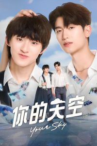 你的天空 poster