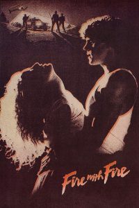 同命小鸳鸯 poster