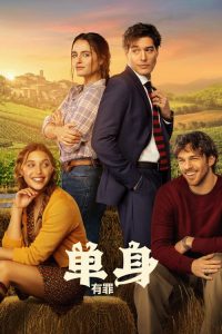 无处单身 poster