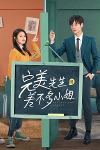 完美先生和差不多小姐 poster
