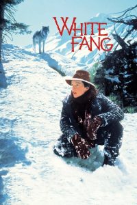 雪地黄金犬 poster