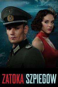 间谍湾 poster