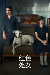 红色处女 poster