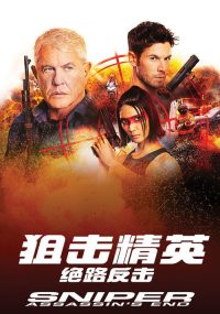 狙击精英：绝路反击 poster