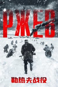 勒热夫战役 poster
