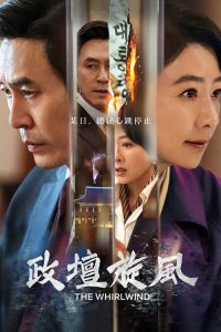 政坛旋风 poster