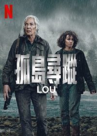 卢 poster