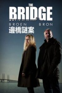 桥 poster