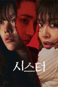 姐妹 poster