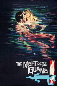 巫山风雨夜 poster