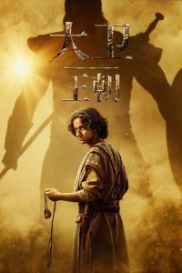 大卫王朝 poster