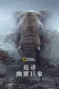 追寻幽灵大象 poster