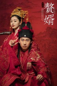 赘婿 poster