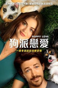 小狗之爱 poster