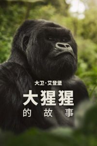大卫·艾登堡：大猩猩的故事 poster