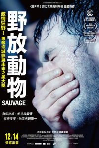 野性 poster
