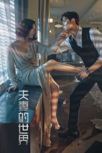 夫妻的世界 poster