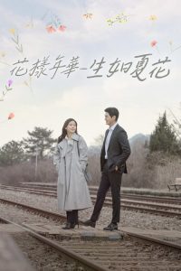 花样年华-生如夏花 poster