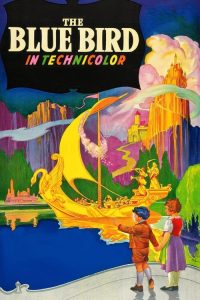 青鸟 poster