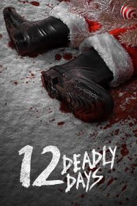 致命12天 poster