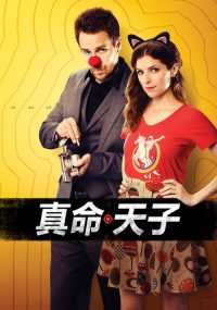 真命天子 poster