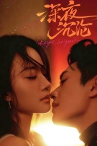 深夜沉沦 poster