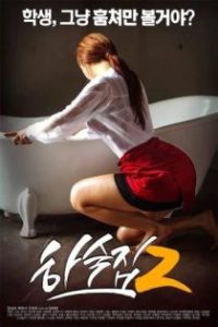 寄宿公寓2 poster