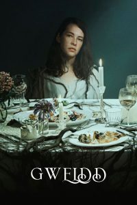 魇会 poster