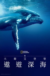 大卫·爱登堡：海洋 poster