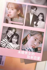 未婚男女的效率恋爱 poster