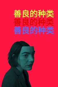 善良的种类 poster