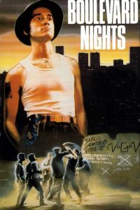 黑夜小流氓 poster