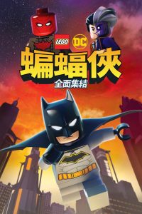 乐高DC蝙蝠侠：家族事务 poster